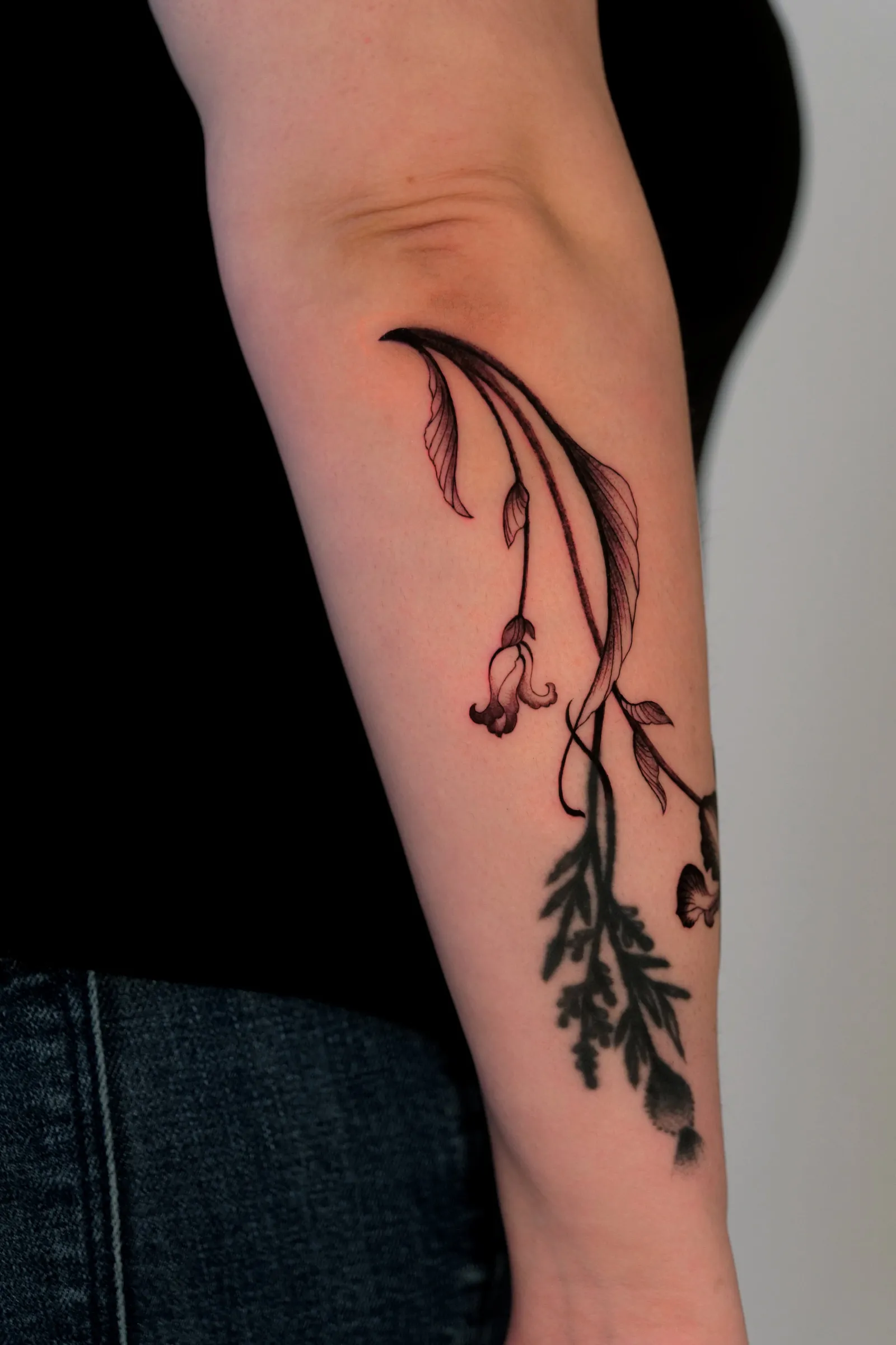 Drooping flower stems with bell-shaped blooms and feathery leaves along a forearm, black and grey