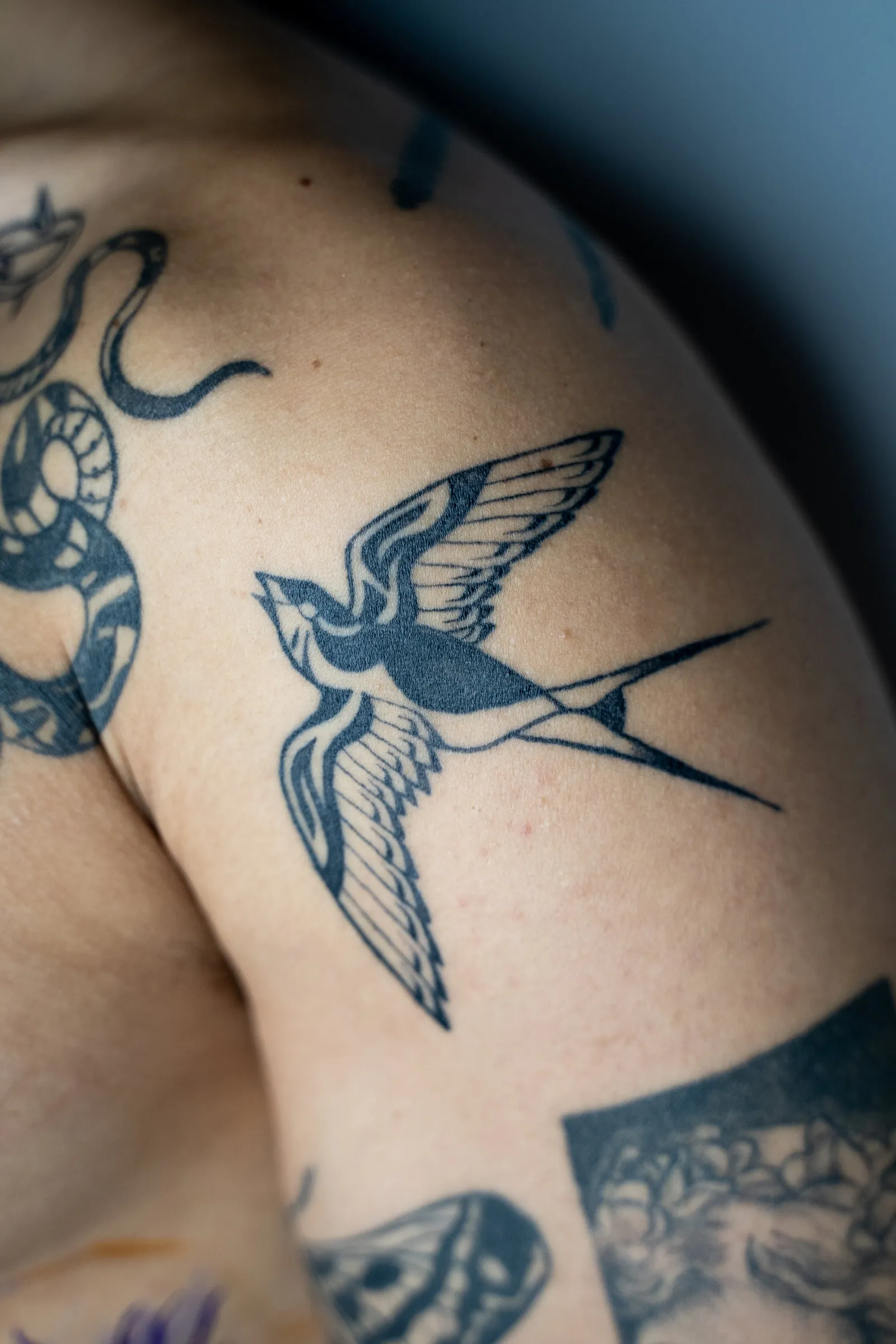 A swallow in flight on a shoulder, healed, among other tattoos