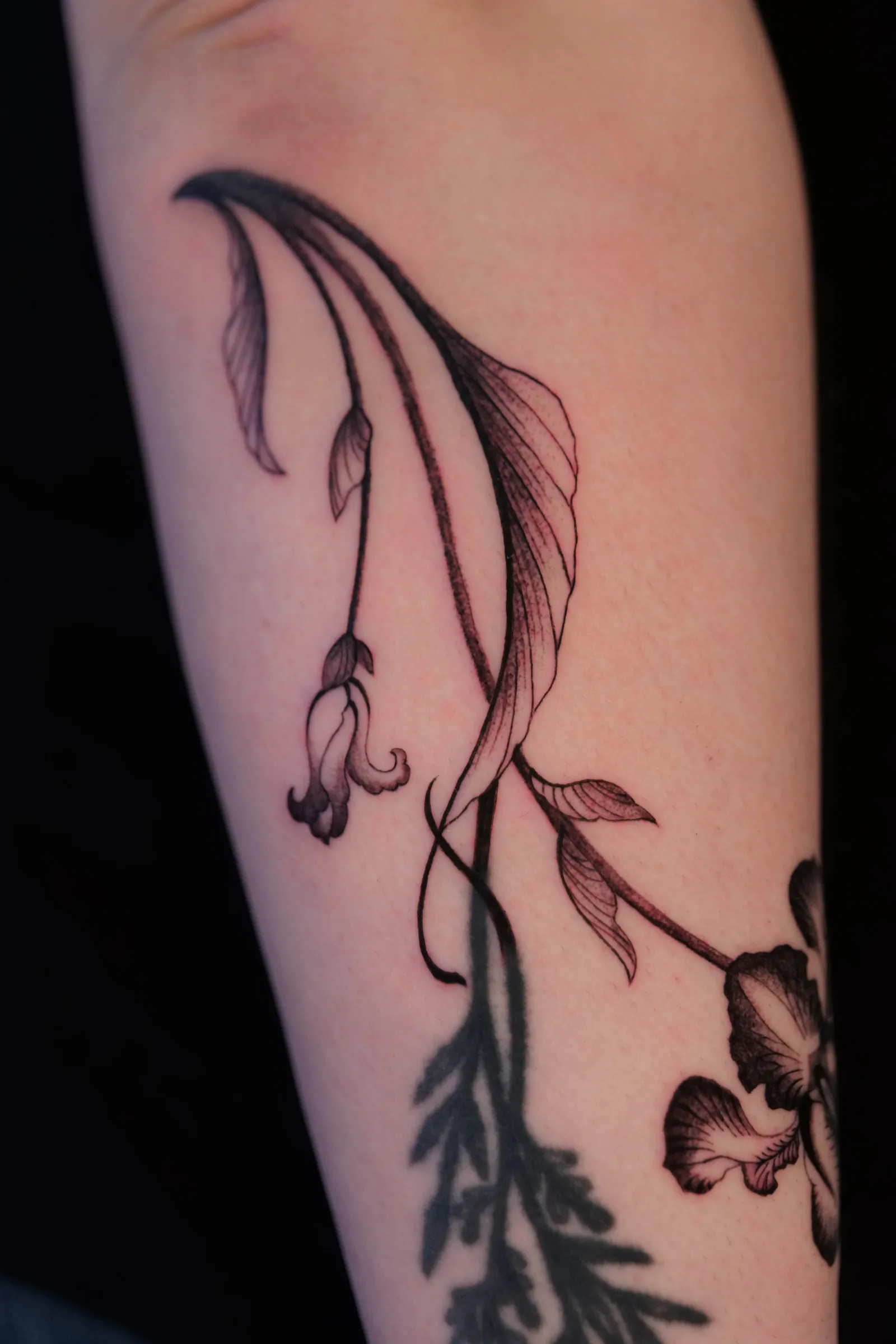 The hanging blooms seen closer, on their curved stems
