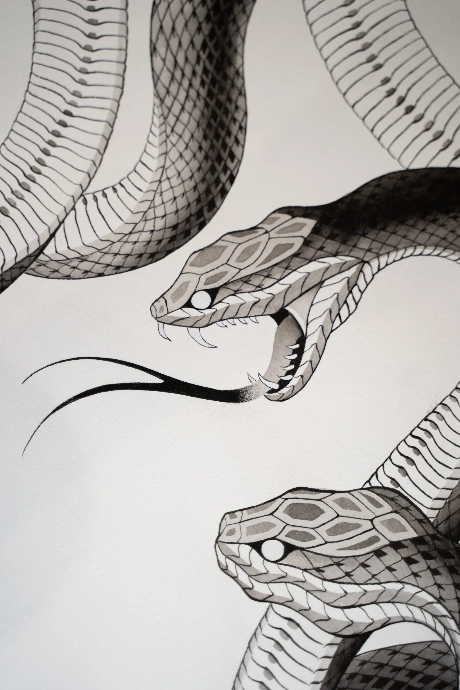 Detail: snake heads with open mouths and forked tongues