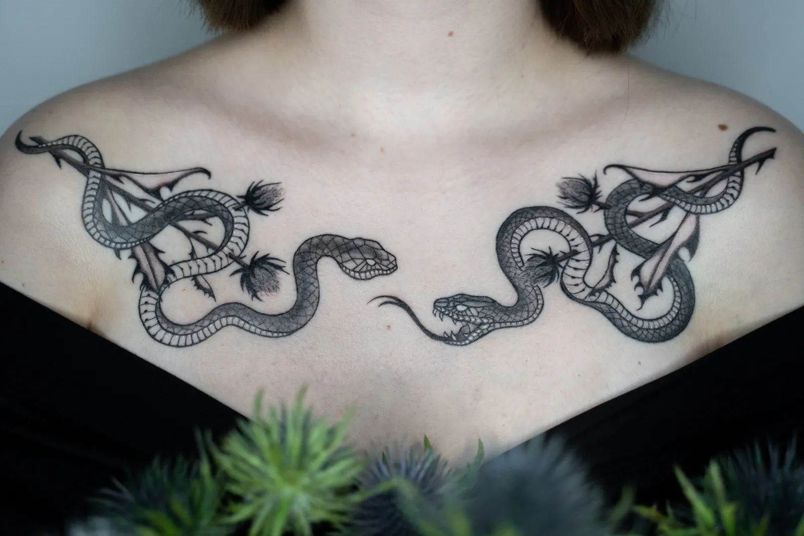 Two coiled snakes facing each other along both collarbones, black and grey