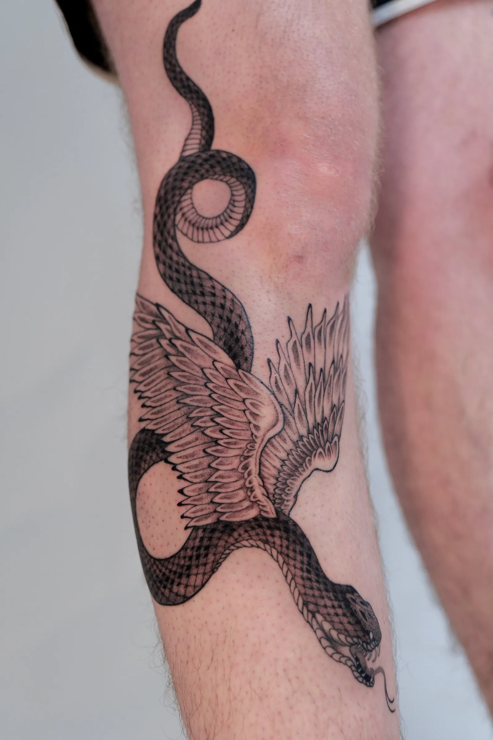 The snake's tail curling above the knee, its wings spreading below