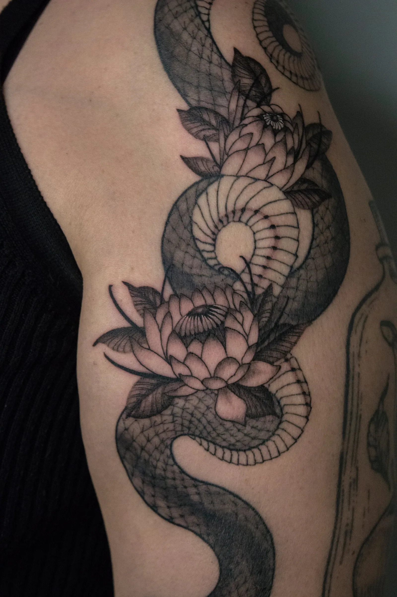 Close view of a lotus held in the snake's coils