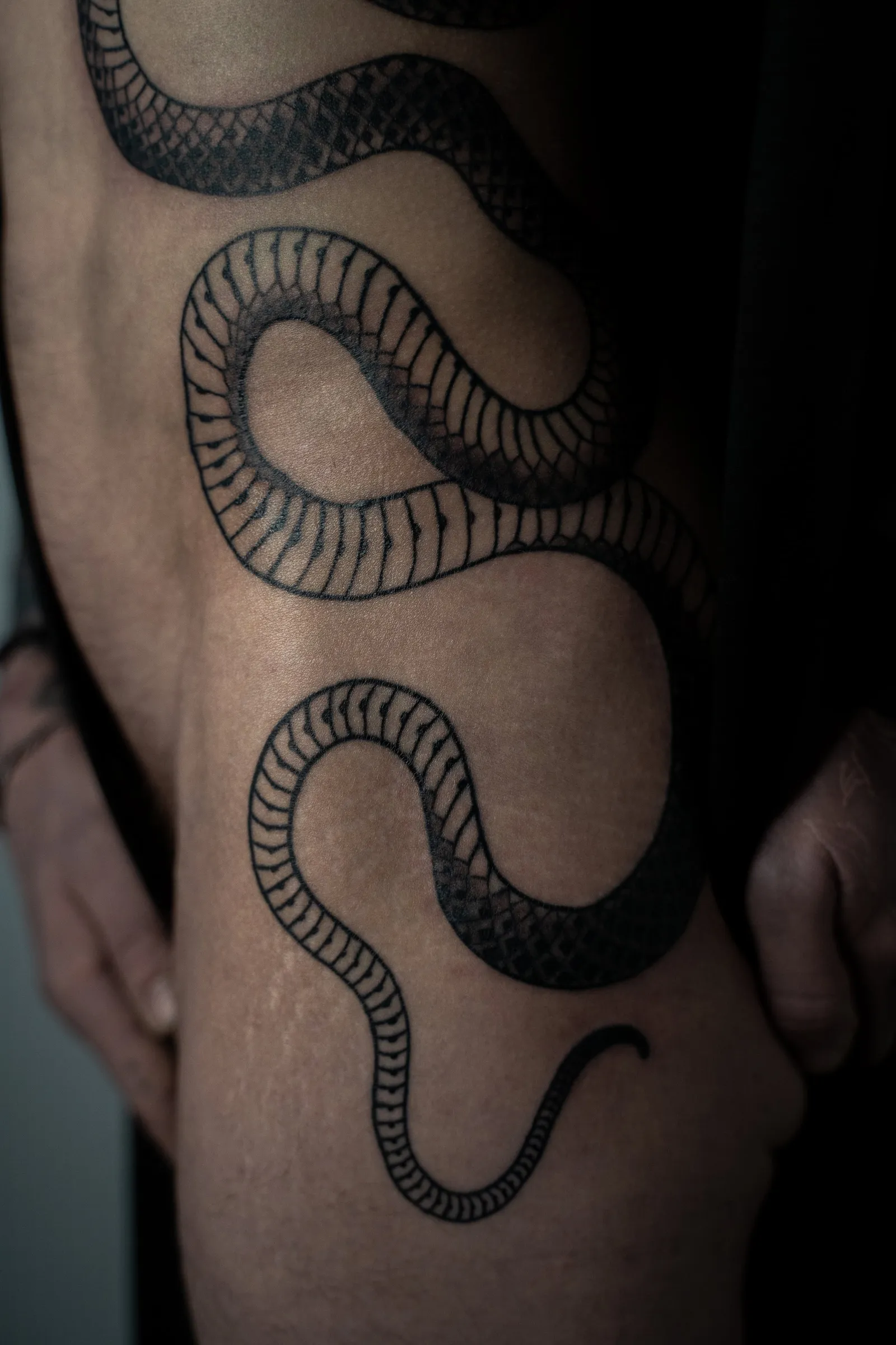 Close view of the snake's scaled coils curving over the hip