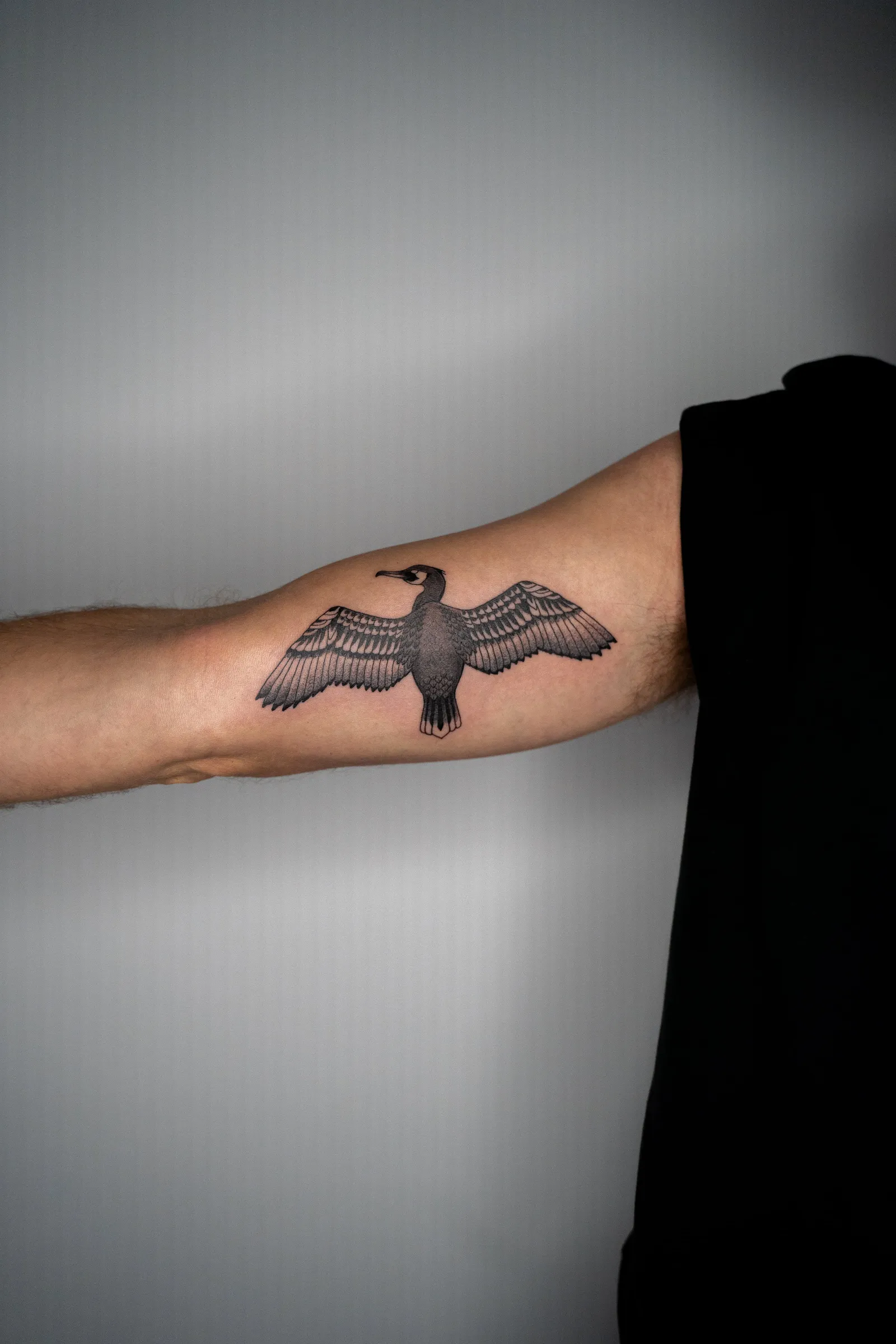 A cormorant with its wings spread, tattooed in fine line and black shading on an inner forearm