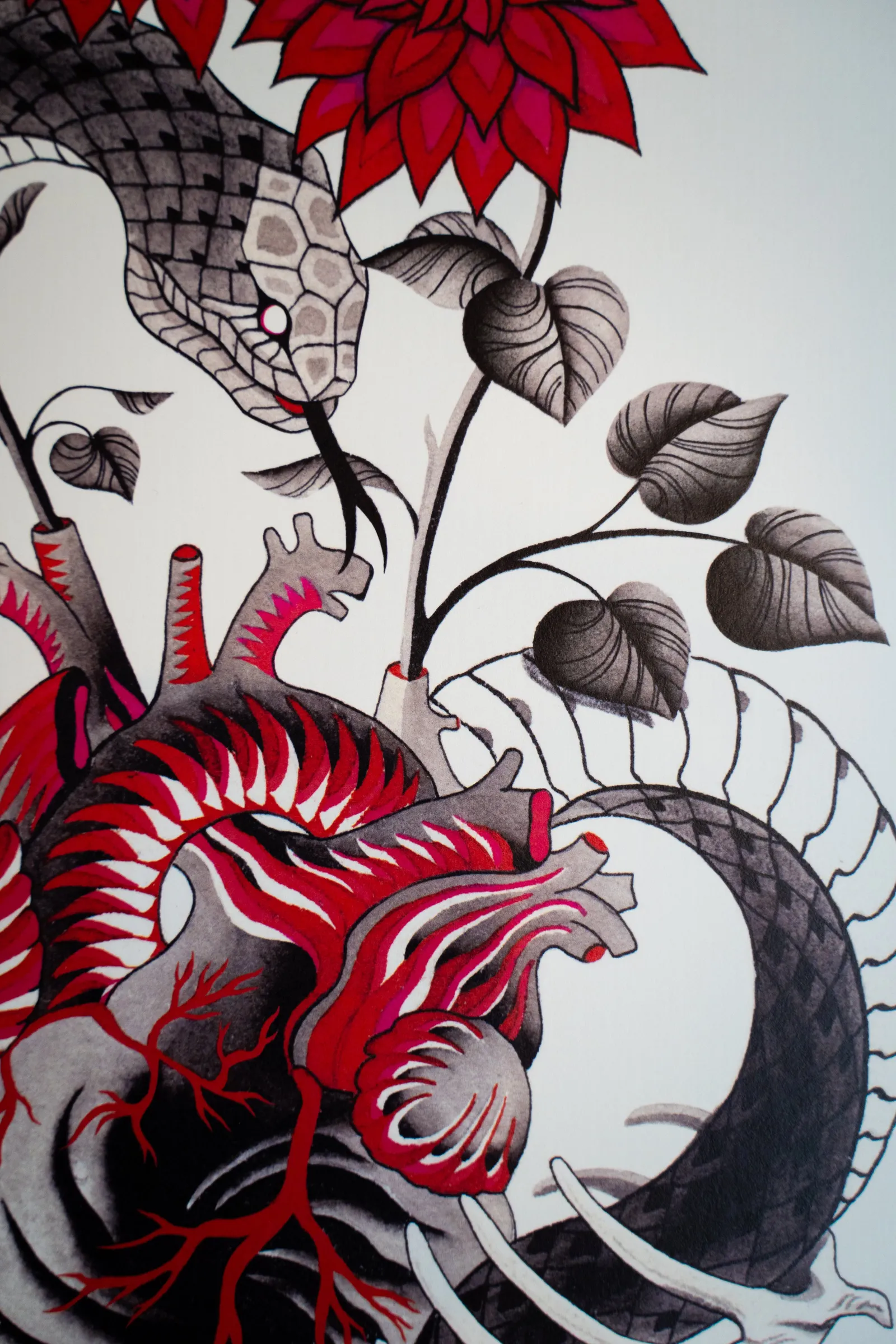 Detail: the snake's head under red dahlias and dark leaves