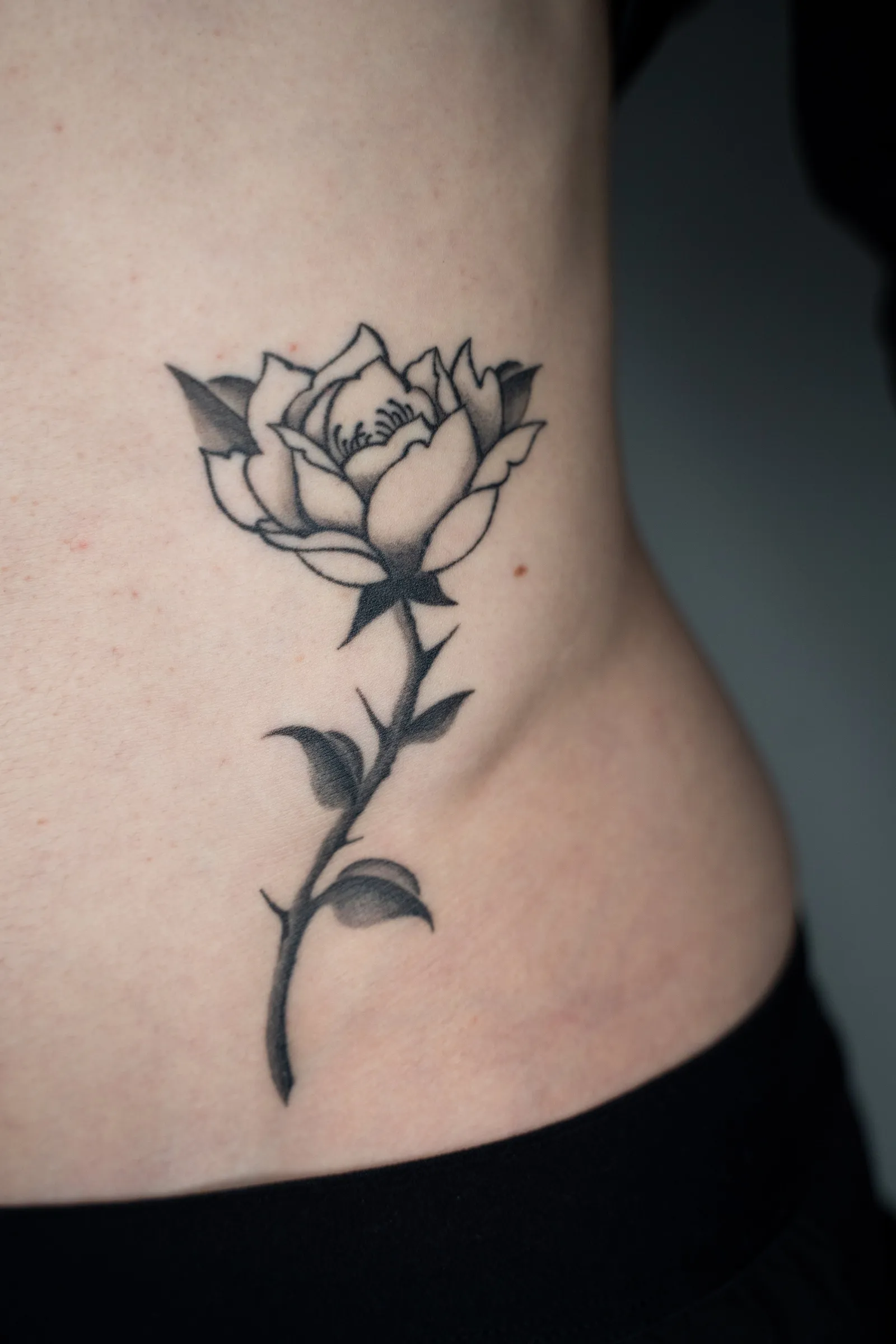 A rose on a thorny stem along the ribs, healed