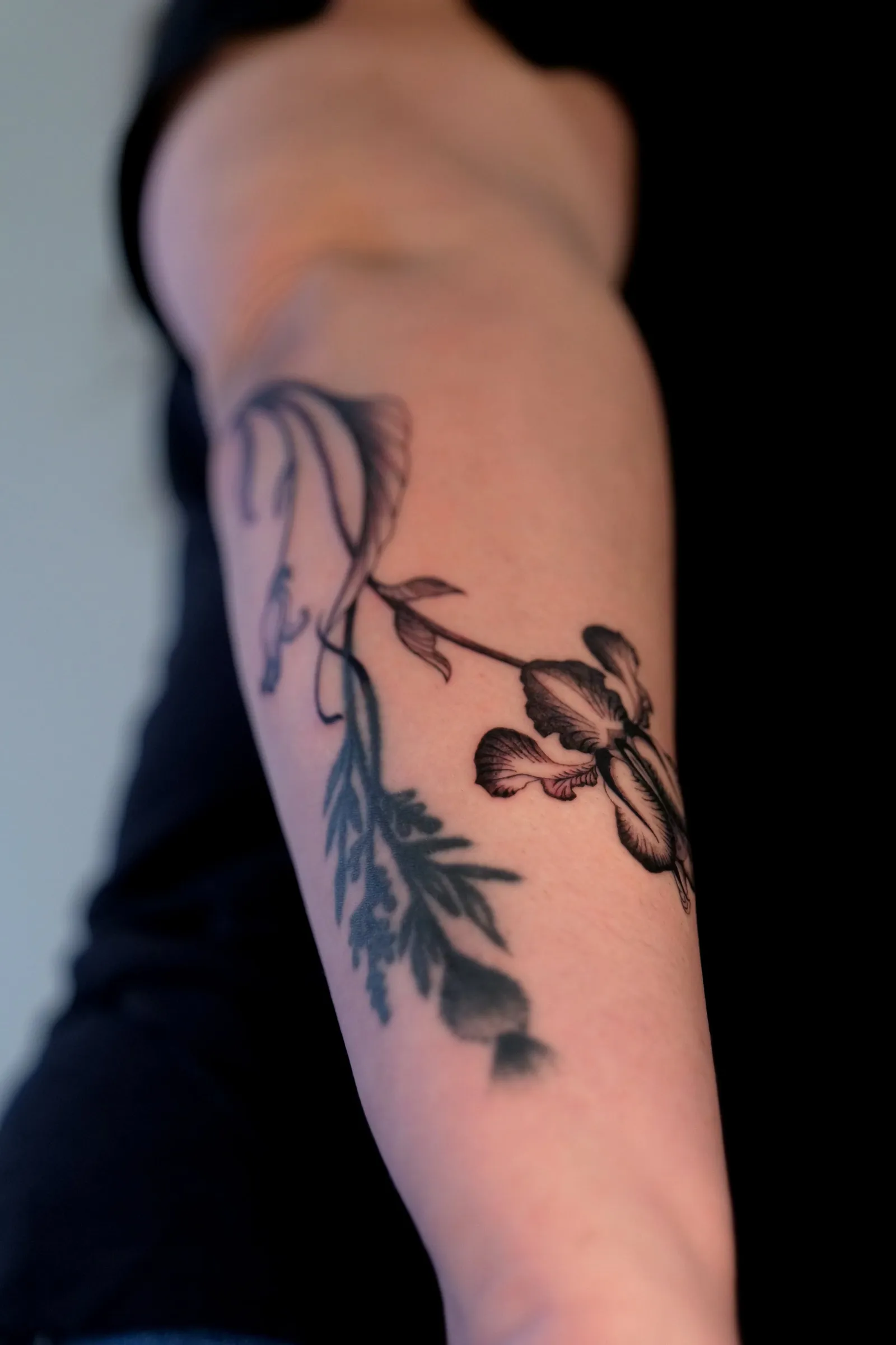The whole forearm from the side, the stems following its curve
