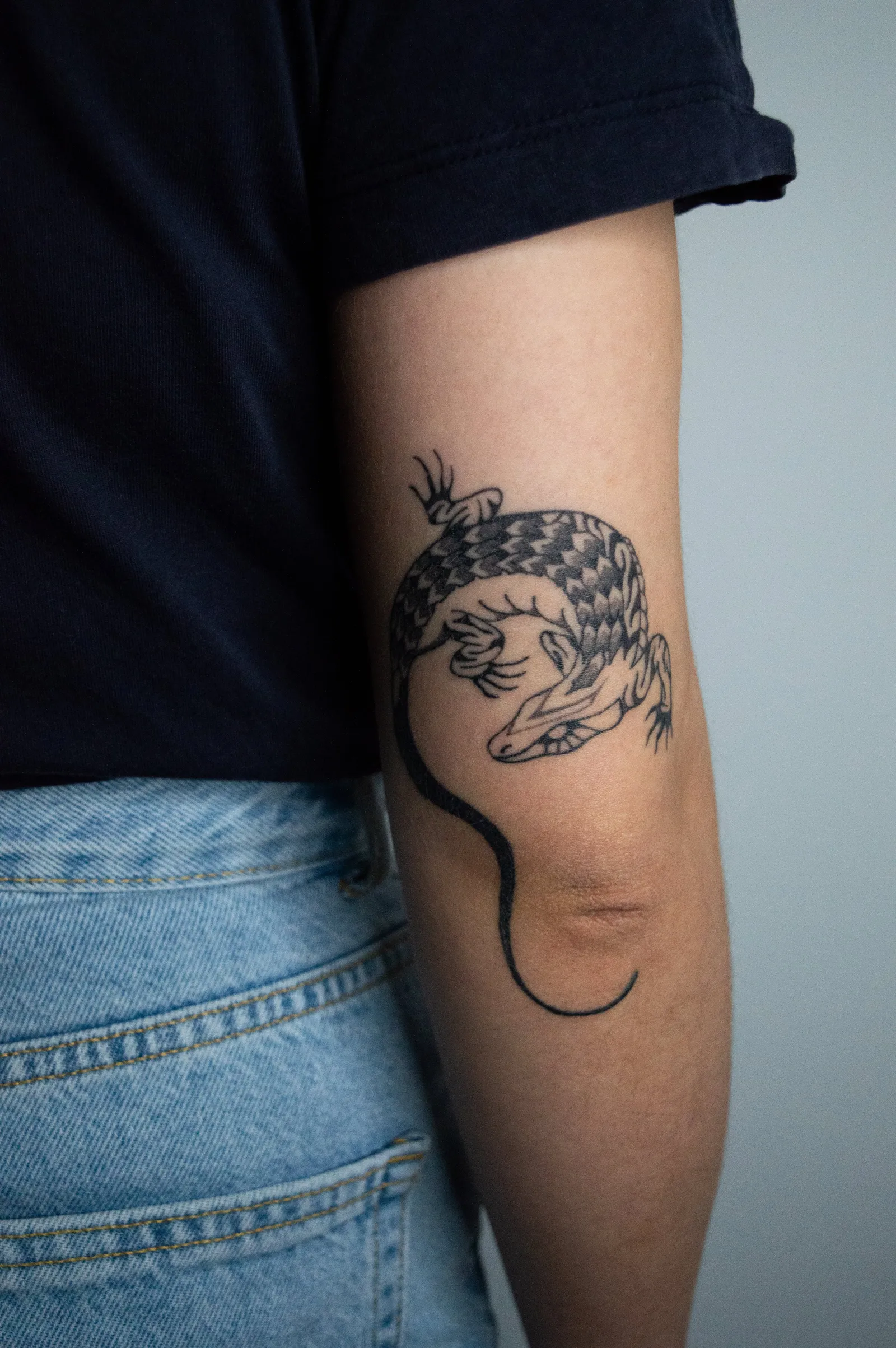 A lizard with a patterned back and a long curling tail on the back of an arm, healed