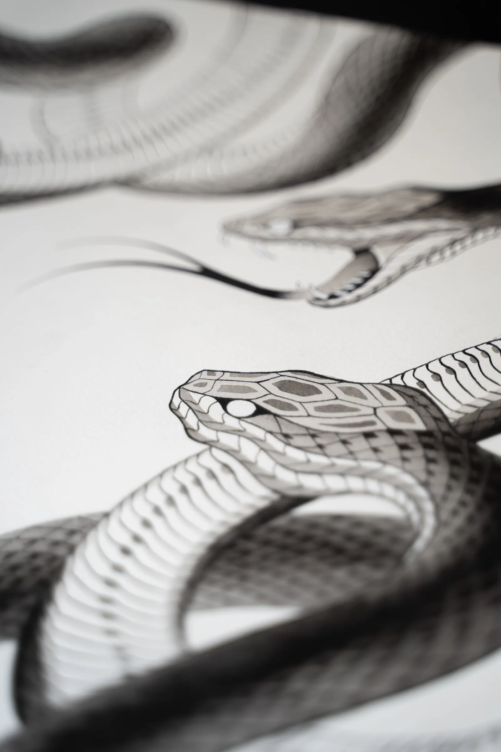 Detail: a snake's head and coils over patterned scales