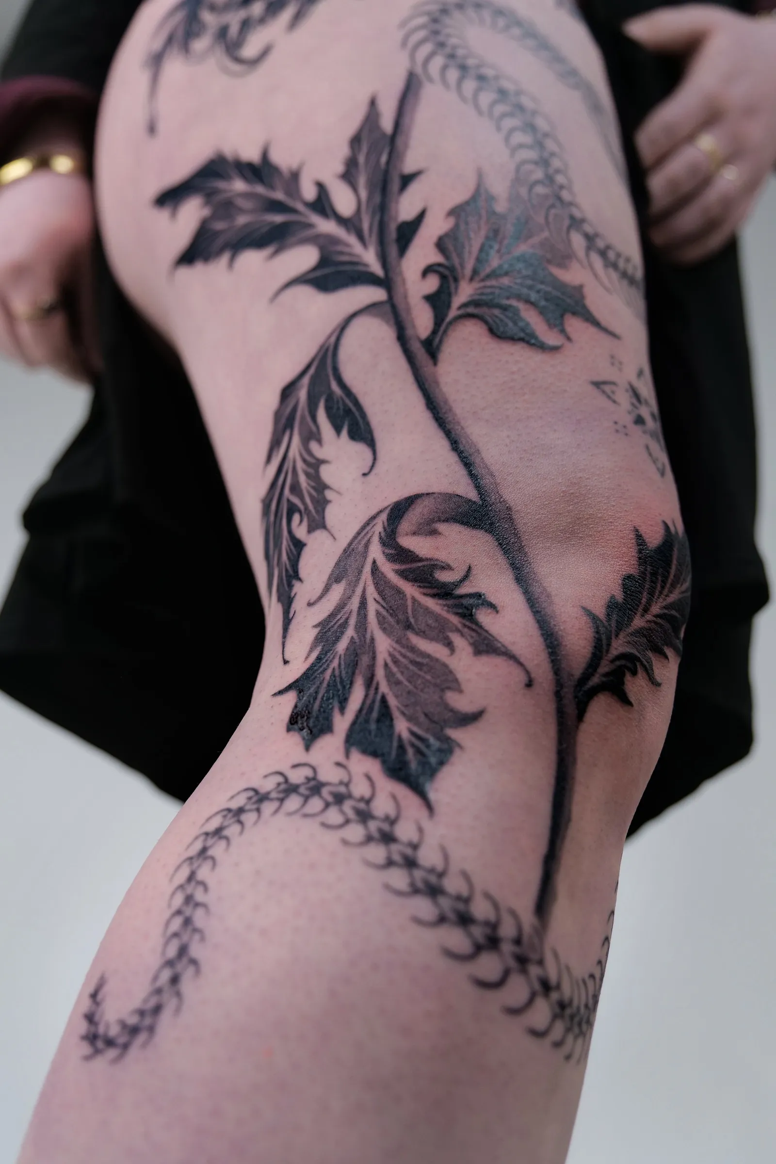 The side of the thigh, with leaves and the snake skeleton winding down toward the knee