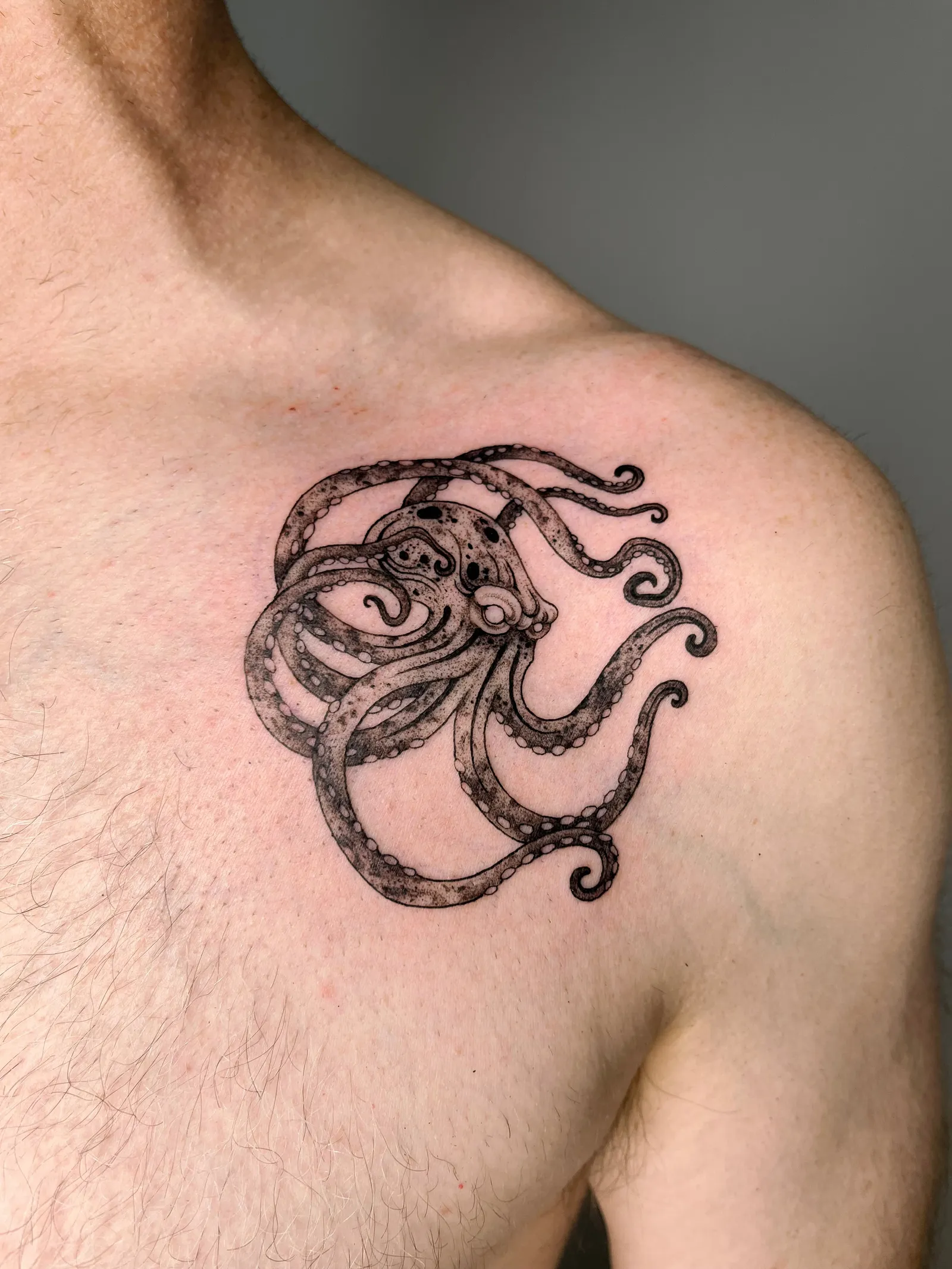 An octopus with curling tentacles, fine line and stippled shading on a shoulder