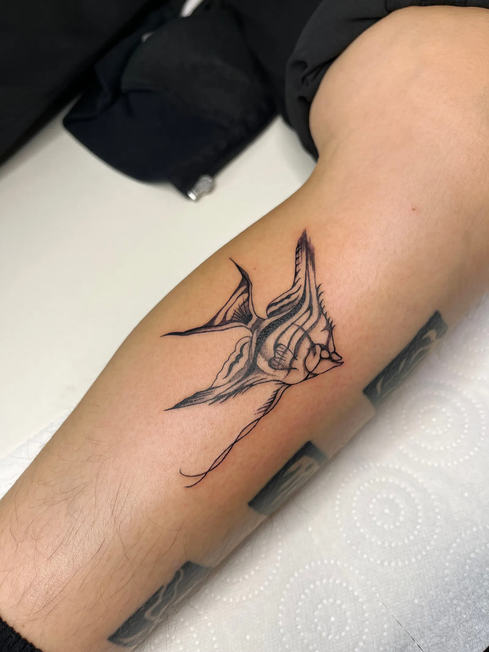 A swallow diving with its wings swept back, tattooed on a forearm